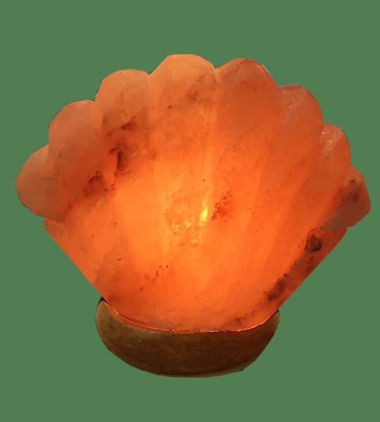 Himalayan Salt Lamp - Seashell